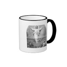 OOO8 TAZA