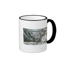 Opinión de puente colgante de la garganta del parq taza de café