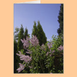 Opinión del cielo del jardín en Beaverton, Oregon tarjetas