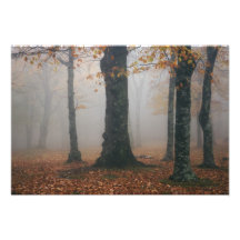 Opinión del otoño del bosque de niebla, abuelo 2 impresiones fotográficas