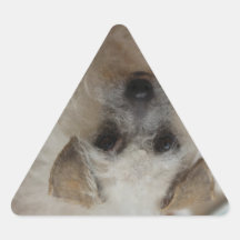 Oposum Calcomanías Triangulos