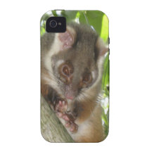 Oposum en un árbol vibe iPhone 4 funda