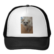 Oposum Gorras