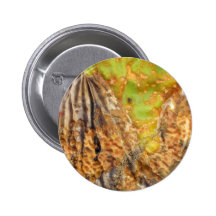 Opufantasie Button