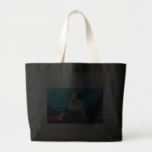 OPUS BOLSAS