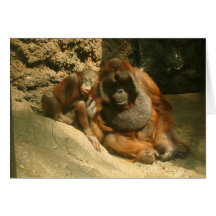 Orangután Felicitacion