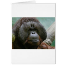 orangután masculino felicitaciones