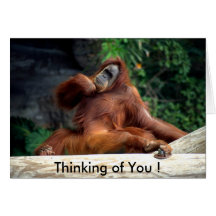 ¡orangután, pensando en usted! felicitacion 