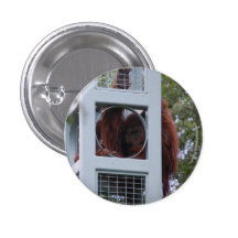 orangután pin