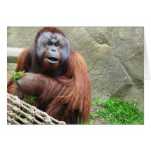 Orangután Tarjeta