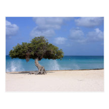 oranjestad tarjeta postal
