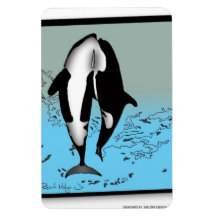 Orcas que violan el imán #2