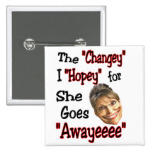 Orden del día de Hopey Changey de Sarah Pin