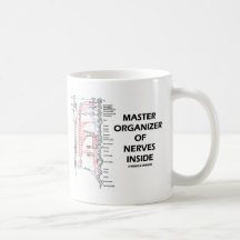 Organizador principal del interior de los nervios  taza de café