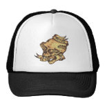Orgullo Cometh antes de una caída. Gorra