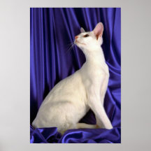 Oriental extranjero, blanco impresiones