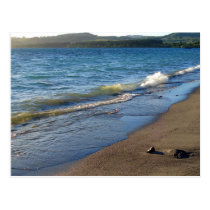 Orilla del lago Taupo, Nueva Zelanda. tarjetas postales
