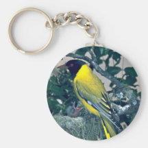 Oriole de cabeza negra llavero