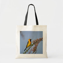 Oriole encapuchado en Ocotillo pica las flores Bolsas De Mano