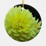 Ornamento amarillo de la dalia ornamento de reyes magos