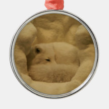 Ornamento blanco del Fox de la nieve Adorno Para Reyes