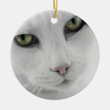 Ornamento blanco del gato ornamente de reyes