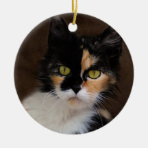 Ornamento clásico de la foto del retrato del gato  ornamentos de reyes