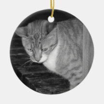 Ornamento de Cody Adorno Para Reyes