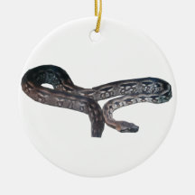 Ornamento del círculo de Madagascar Adorno De Navidad