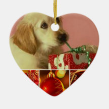Ornamento del corazón ornato