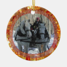 Ornamento del invierno de Vermont Ornatos