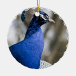 Ornamento del Peafowl Ornaments Para Arbol De Navidad