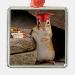 Ornamento lindo del graduado del Chipmunk Ornatos