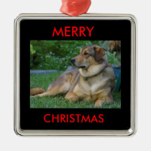 Ornamentos de las Felices Navidad del perro Ornato