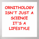 ornitología posters