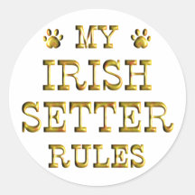 Oro de las reglas de Irish Setter Etiquetas Redondas