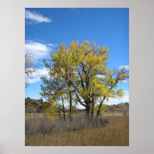 Oro del otoño impresiones
