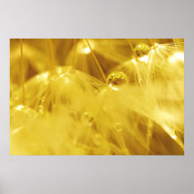 Oro Impresiones