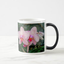 Orquídea 001, taza Morphing