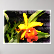Orquídea amarilla y anaranjada en el invernadero posters