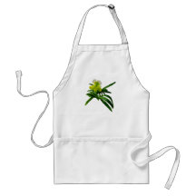 Orquídea amarilla y blanca de Paphiopidilum Delantal