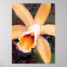 Orquídea amelocotonada impresiones