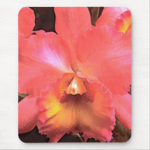 Orquídea anaranjada de Cattleya Alfombrillas De Ratones