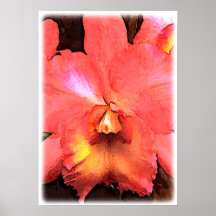 Orquídea anaranjada de Cattleya Poster