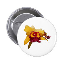 Orquídea anaranjada y magenta pins