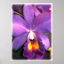 Orquídea de Cattleya de la púrpura real Posters