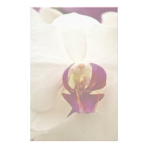 Orquídea del Phalaenopsis Papelería Personalizada