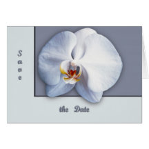 Orquídea Felicitacion
