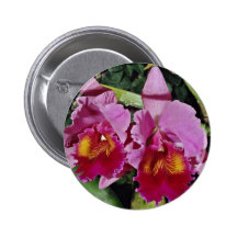 Orquídea, flores del cattleya-híbrido (loosdrecht  pins