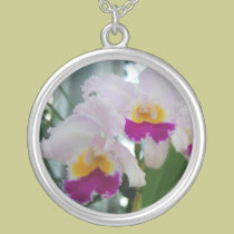 Orquídea hermosa de Cattleya collares